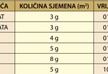 Jesenska sjetva povrća